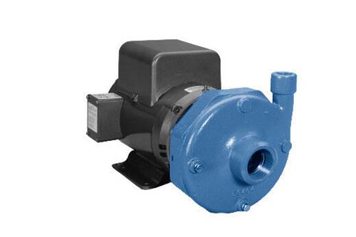 3-bf pumps